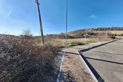 Terra a Macerata, Macerata, Macerata - € 182.531 | Ref: 22739 - foto 9