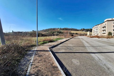 Terra a Macerata, Macerata, Macerata - € 182.531 | Ref: 22739 - foto 10