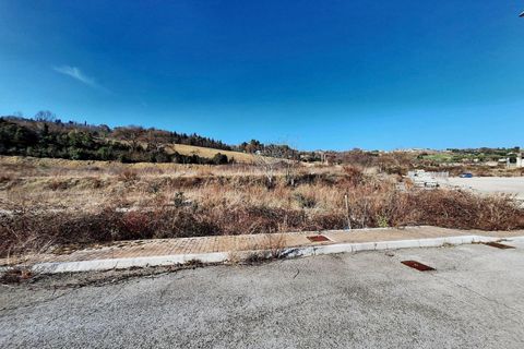 Terra a Macerata, Macerata, Macerata - € 182.531 | Ref: 22739 - foto 15