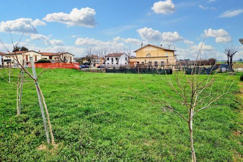 Terra a Castegnero, Vicenza, Castegnero - € 128.000 | Ref: 20332 - foto 4