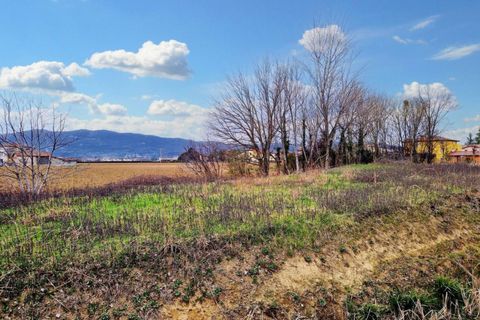 Terra a Castegnero, Vicenza, Castegnero - € 128.000 | Ref: 20332 - foto 8