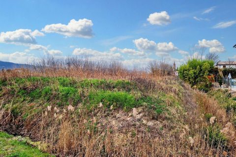 Terra a Castegnero, Vicenza, Castegnero - € 128.000 | Ref: 20332 - foto 10