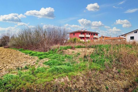 Terra a Castegnero, Vicenza, Castegnero - € 128.000 | Ref: 20332 - foto 11