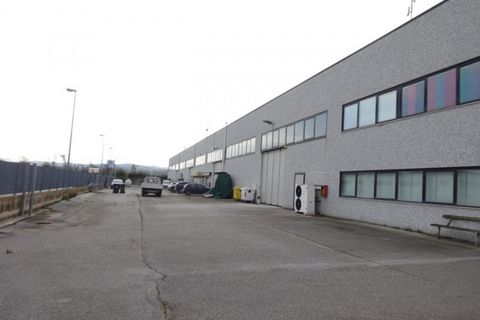 Erhvervsejendom i Monte Roberto, Ancona, Monte Roberto - € 530.000 | Ref: 6932 - foto 5