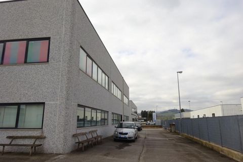 Erhvervsejendom i Monte Roberto, Ancona, Monte Roberto - € 530.000 | Ref: 6932 - foto 6
