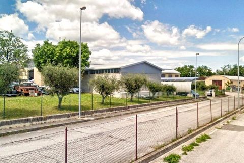 L'establiment comercial a Cingoli, Macerata, Cingoli - € 102.280 | Ref: 2515105 - foto 4