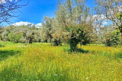 Landejendom i Perugia, Perugia, Perugia - € 349.920 | Ref: 2515032 - foto 7