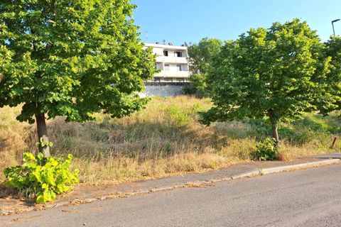 Terra a Bertinoro, Forli-Cesena, Bertinoro - € 67.500 | Ref: 2536343 - foto 3