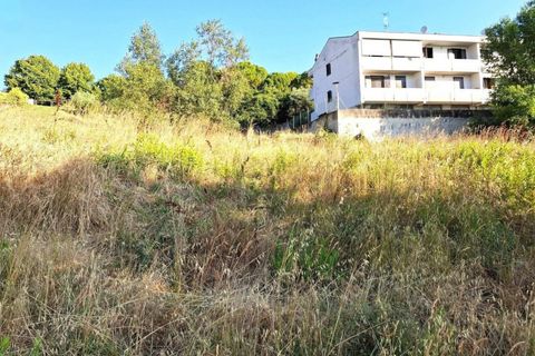 Terra a Bertinoro, Forli-Cesena, Bertinoro - € 67.500 | Ref: 2536343 - foto 5