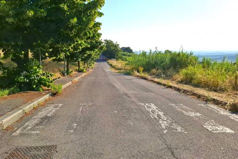 Terra a Bertinoro, Forli-Cesena, Bertinoro - € 67.500 | Ref: 2536343 - foto 10
