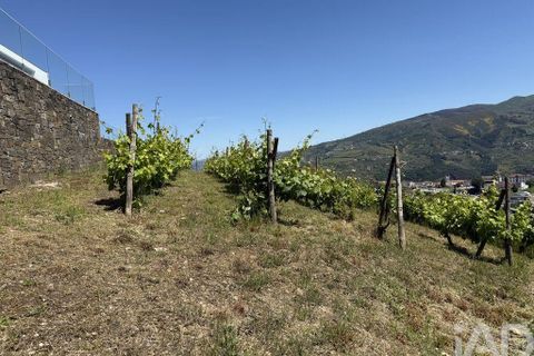 Byhus i Baiao, Porto, Baiao - € 1.500.000 | Ref: 144189 - foto 24