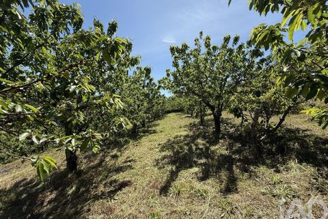 Byhus i Baiao, Porto, Baiao - € 1.500.000 | Ref: 144189 - foto 27