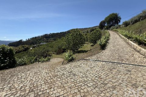 Byhus i Baiao, Porto, Baiao - € 1.500.000 | Ref: 144189 - foto 29