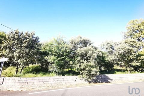 Terra a Ourem, Santarem, Ourem - € 91.000 | Ref: 56718 - foto 2