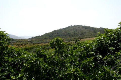 Landejendom i Molvizar, Granada - foto 2