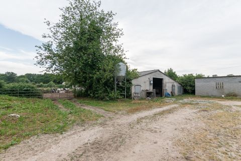 Cortijo i Castroverde, Lugo, Castroverde - € 390.000 | Ref: 2255 - foto 31