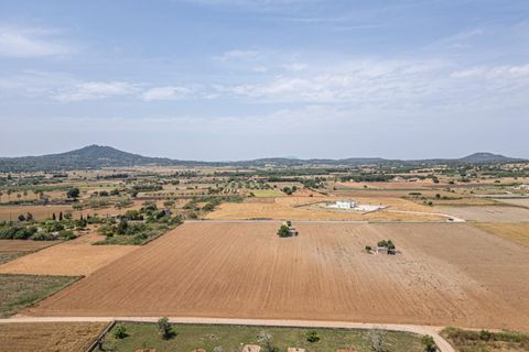 Terra a Petra, Mallorca, Petra - € 235.000 | Ref: 05RBSC049/3010 - foto 7