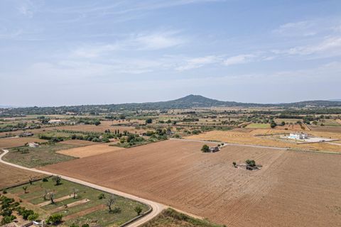Terra a Petra, Mallorca, Petra - € 235.000 | Ref: 05RBSC049/3010 - foto 8