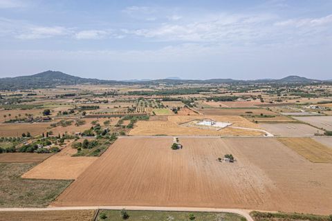 Terra a Petra, Mallorca, Petra - € 235.000 | Ref: 05RBSC049/3010 - foto 10