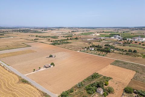 Terra a Petra, Mallorca, Petra - € 235.000 | Ref: 05RBSC049/3010 - foto 12