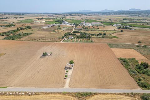 Terra a Petra, Mallorca, Petra - € 235.000 | Ref: 05RBSC049/3010 - foto 13