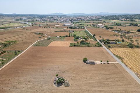 Terra a Petra, Mallorca, Petra - € 235.000 | Ref: 05RBSC049/3010 - foto 14