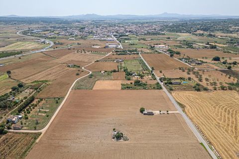Terra a Petra, Mallorca, Petra - € 235.000 | Ref: 05RBSC049/3010 - foto 15