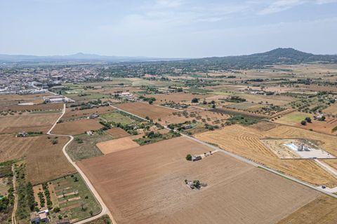 Terra a Petra, Mallorca, Petra - € 235.000 | Ref: 05RBSC049/3010 - foto 16