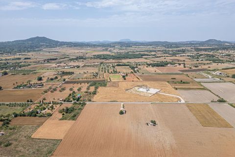 Terra a Petra, Mallorca, Petra - € 235.000 | Ref: 05RBSC049/3010 - foto 17