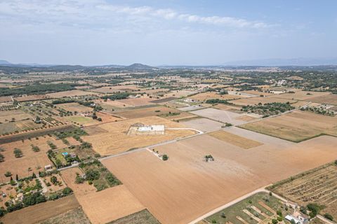 Terra a Petra, Mallorca, Petra - € 235.000 | Ref: 05RBSC049/3010 - foto 18