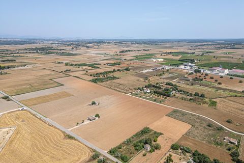 Terra a Petra, Mallorca, Petra - € 235.000 | Ref: 05RBSC049/3010 - foto 20