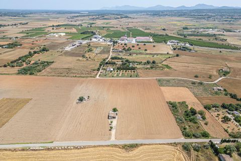 Terra a Petra, Mallorca, Petra - € 235.000 | Ref: 05RBSC049/3010 - foto 21