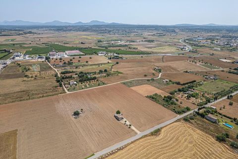 Terra a Petra, Mallorca, Petra - € 235.000 | Ref: 05RBSC049/3010 - foto 22