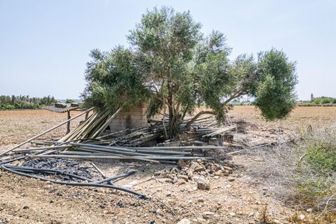 Terra a Petra, Mallorca, Petra - € 235.000 | Ref: 05RBSC049/3010 - foto 26