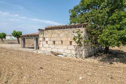 Terra a Petra, Mallorca, Petra - € 235.000 | Ref: 05RBSC049/3010 - foto 28