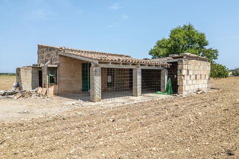 Terra a Petra, Mallorca, Petra - € 235.000 | Ref: 05RBSC049/3010 - foto 29