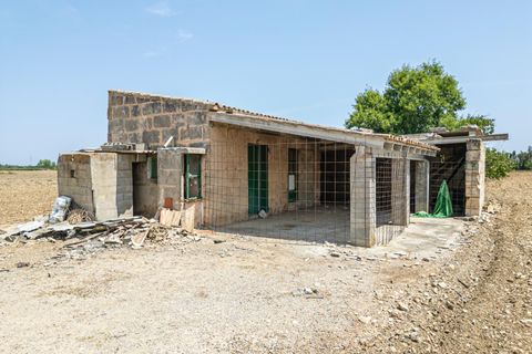 Terra a Petra, Mallorca, Petra - € 235.000 | Ref: 05RBSC049/3010 - foto 30