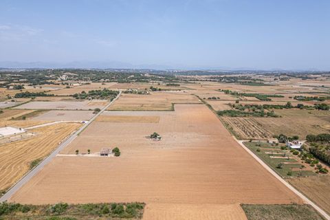 Terra a Petra, Mallorca, Petra - € 235.000 | Ref: 05RBSC049/3010 - foto 33