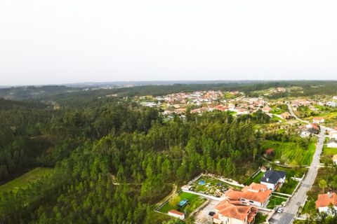 Helårsgrund i Coimbra, Coimbra, Coimbra - € 30.000 | Ref: CNTTM 5738 - foto 2