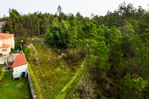 Helårsgrund i Coimbra, Coimbra, Coimbra - € 30.000 | Ref: CNTTM 5738 - foto 14