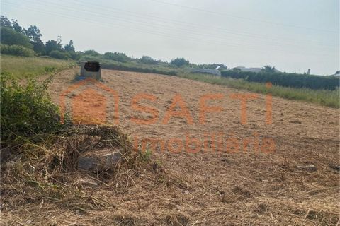 Helårsgrund i Esmoriz, Aveiro, Esmoriz - € 240.000 | Ref: SAFTI:006906 - foto 5