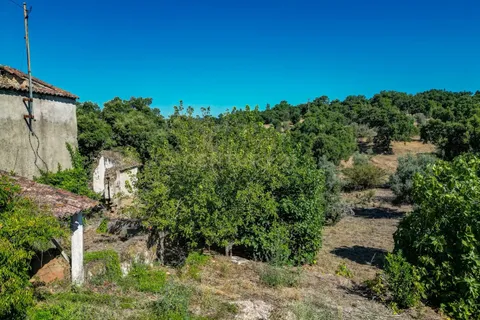 Farm hus i Abrantes, Santarem, Abrantes - € 37.500 | Ref: C0222-06025 - foto 15
