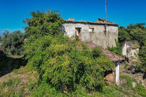 Farm hus i Abrantes, Santarem, Abrantes - € 37.500 | Ref: C0222-06025 - foto 16