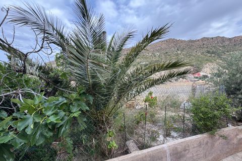 Byhus i Blanca, Murcia, Blanca - € 67.000 | Ref: 2369 - foto 13