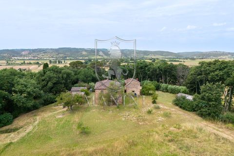 Landejendom i Lucignano, Arezzo, Lucignano - € 680.000 | Ref: 443 - foto 2