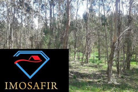 Helårsgrund i Ourem, Santarem, Ourem - € 55.000 | Ref: HD027 - foto 2