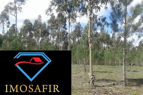 Helårsgrund i Ourem, Santarem, Ourem - € 55.000 | Ref: HD027 - foto 3