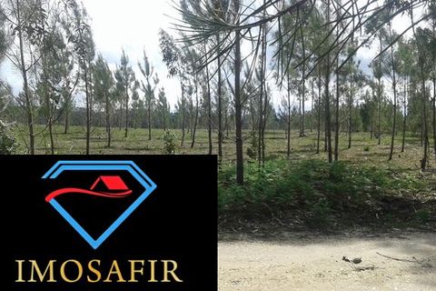 Helårsgrund i Ourem, Santarem, Ourem - € 55.000 | Ref: HD027 - foto 4