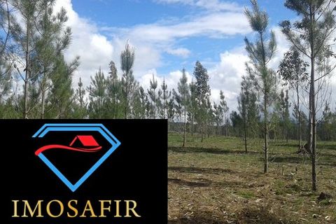Helårsgrund i Ourem, Santarem, Ourem - € 55.000 | Ref: HD027 - foto 5