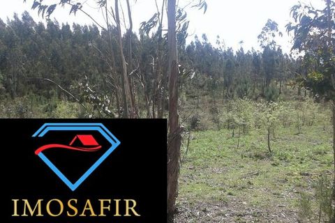 Helårsgrund i Ourem, Santarem, Ourem - € 55.000 | Ref: HD027 - foto 6